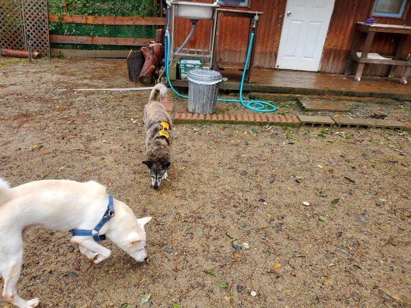 f:id:roukenhome-ann:20191013171847j:plain