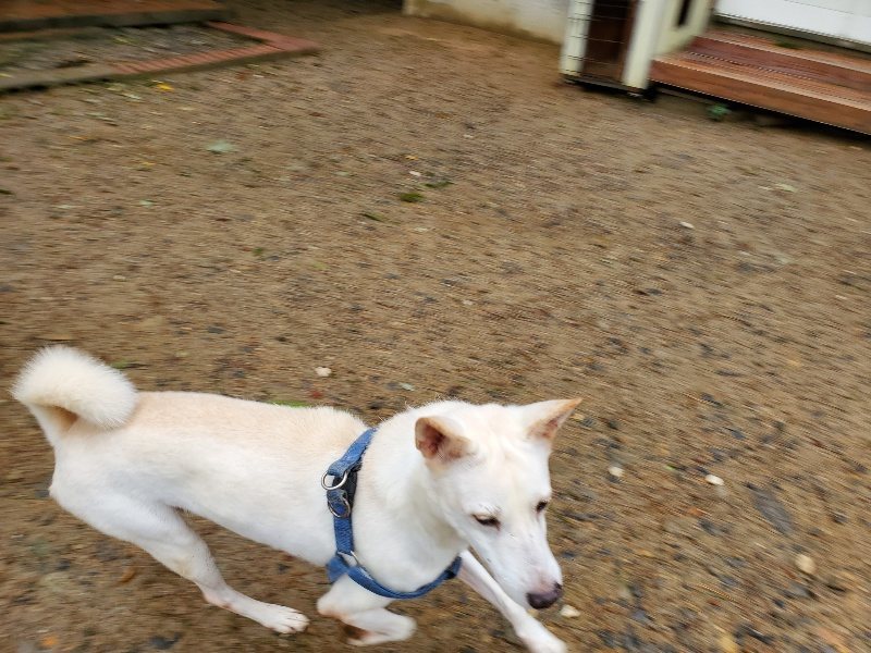 f:id:roukenhome-ann:20191013171855j:plain
