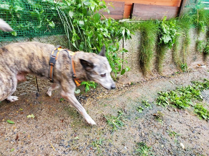 f:id:roukenhome-ann:20191013171915j:plain