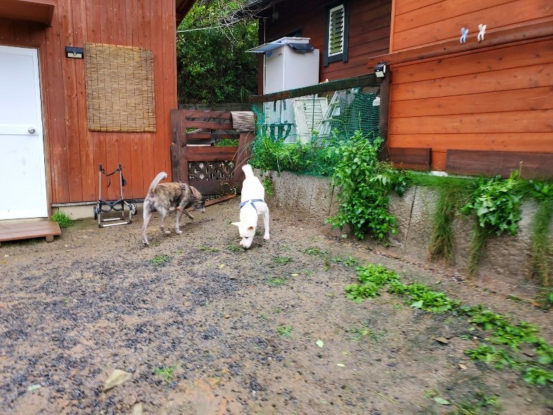 f:id:roukenhome-ann:20191013171943j:plain