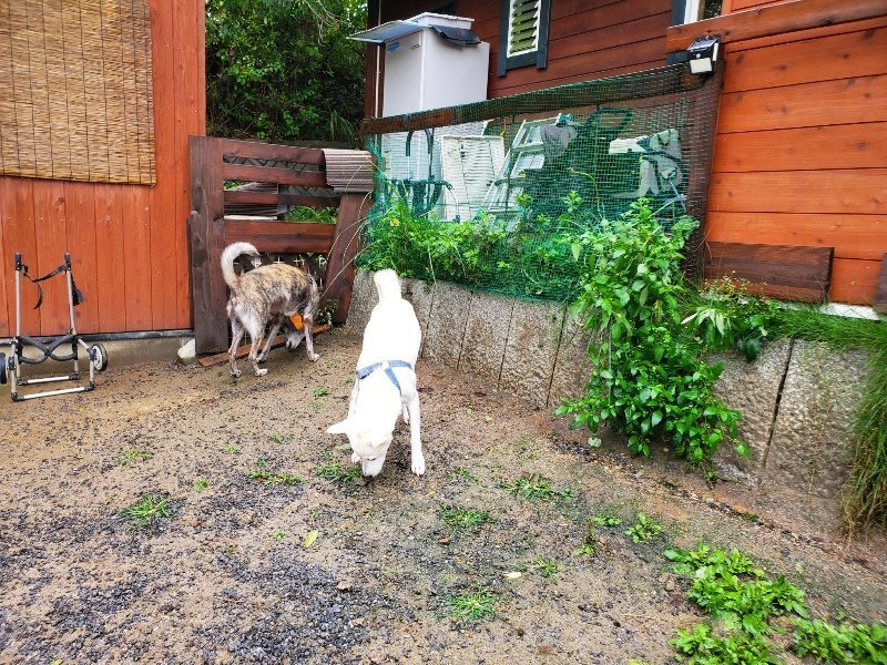 f:id:roukenhome-ann:20191013171958j:plain