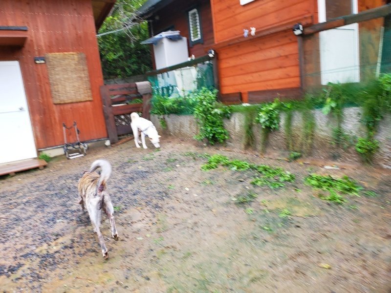 f:id:roukenhome-ann:20191013172005j:plain