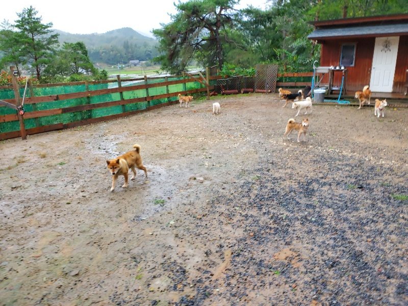 f:id:roukenhome-ann:20191013172041j:plain