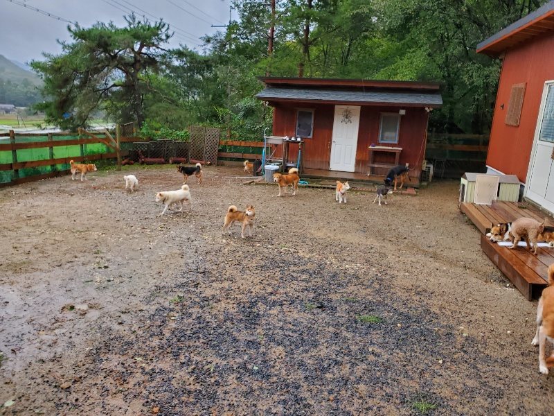f:id:roukenhome-ann:20191013172117j:plain