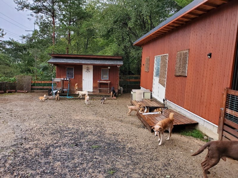f:id:roukenhome-ann:20191013172200j:plain
