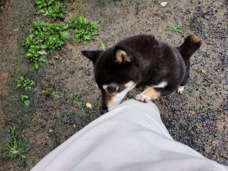 f:id:roukenhome-ann:20191013172210j:plain