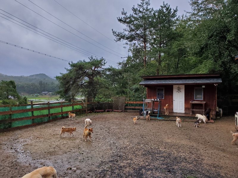 f:id:roukenhome-ann:20191013172236j:plain