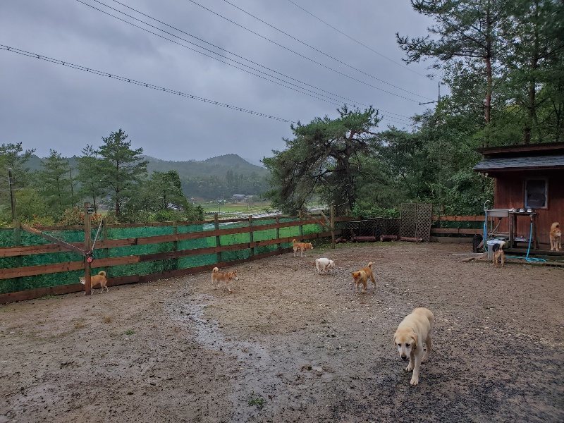 f:id:roukenhome-ann:20191013172256j:plain