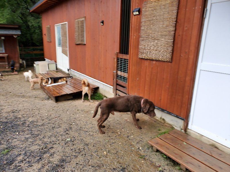 f:id:roukenhome-ann:20191013172303j:plain