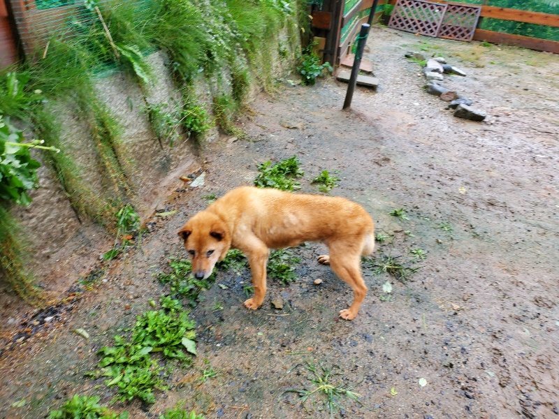 f:id:roukenhome-ann:20191013172346j:plain