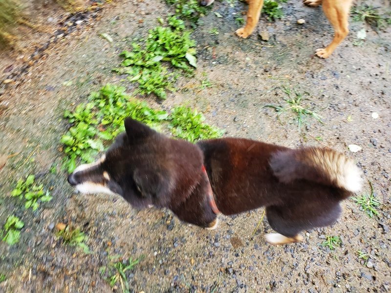 f:id:roukenhome-ann:20191013172406j:plain
