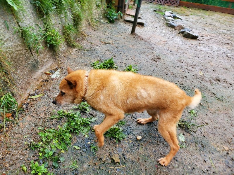 f:id:roukenhome-ann:20191013172414j:plain