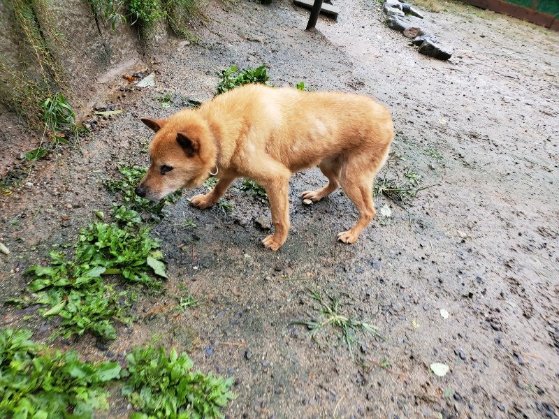 f:id:roukenhome-ann:20191013172426j:plain