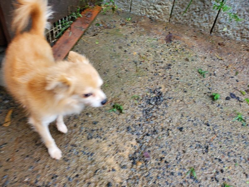 f:id:roukenhome-ann:20191013172455j:plain