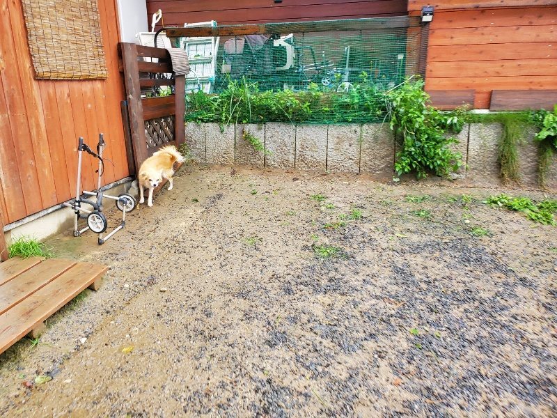 f:id:roukenhome-ann:20191013172505j:plain