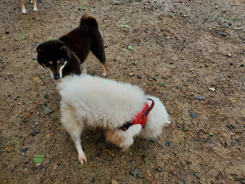 f:id:roukenhome-ann:20191013172643j:plain