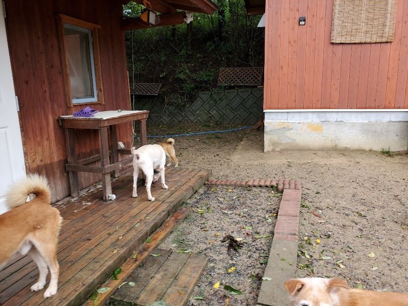 f:id:roukenhome-ann:20191013172650j:plain