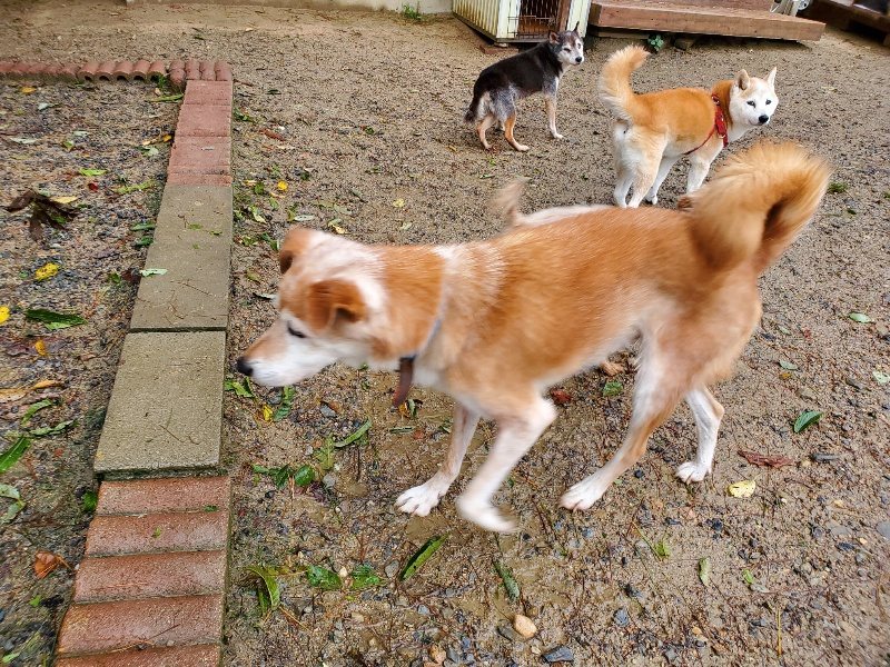 f:id:roukenhome-ann:20191013172717j:plain