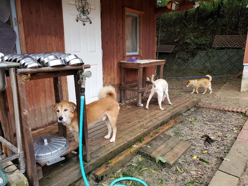 f:id:roukenhome-ann:20191013172726j:plain