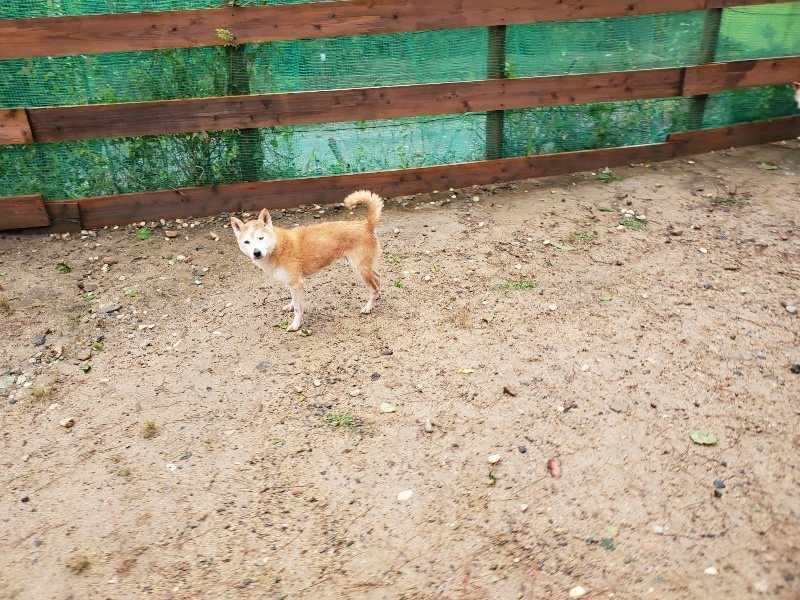 f:id:roukenhome-ann:20191013172740j:plain