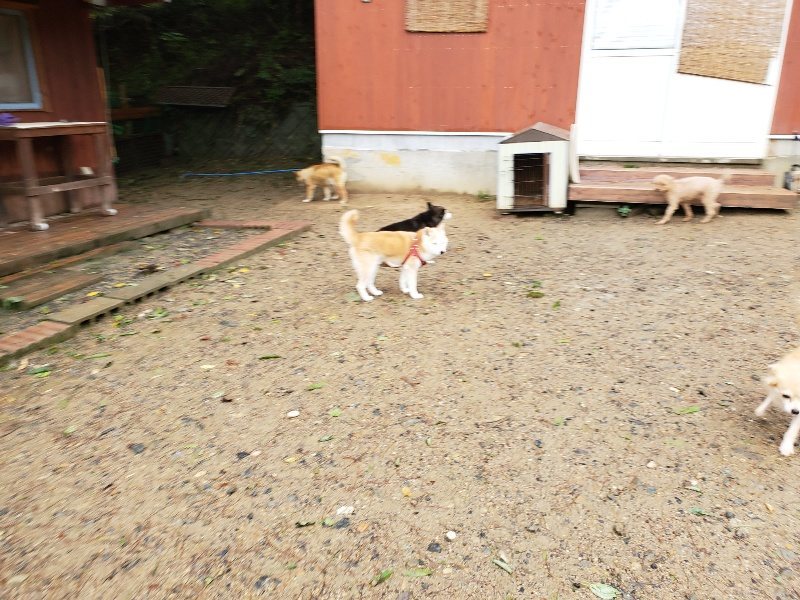f:id:roukenhome-ann:20191013172746j:plain