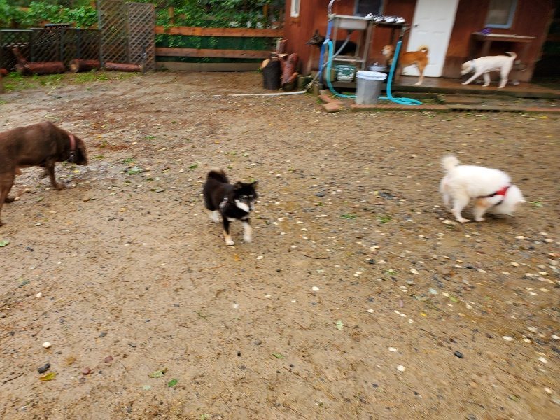 f:id:roukenhome-ann:20191013172804j:plain
