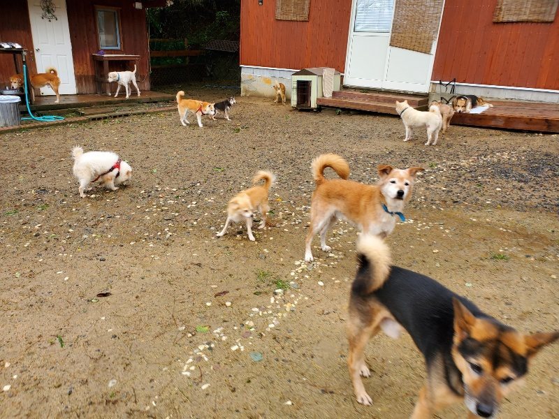 f:id:roukenhome-ann:20191013172816j:plain
