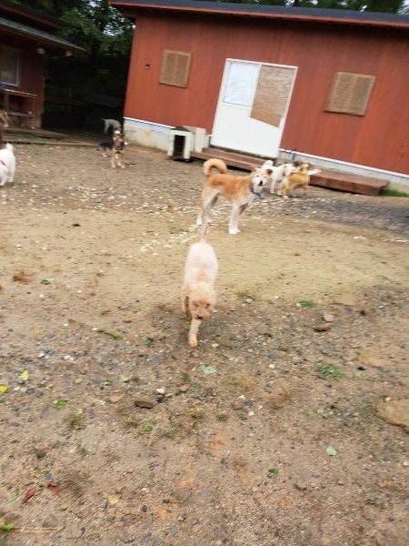 f:id:roukenhome-ann:20191013172833j:plain
