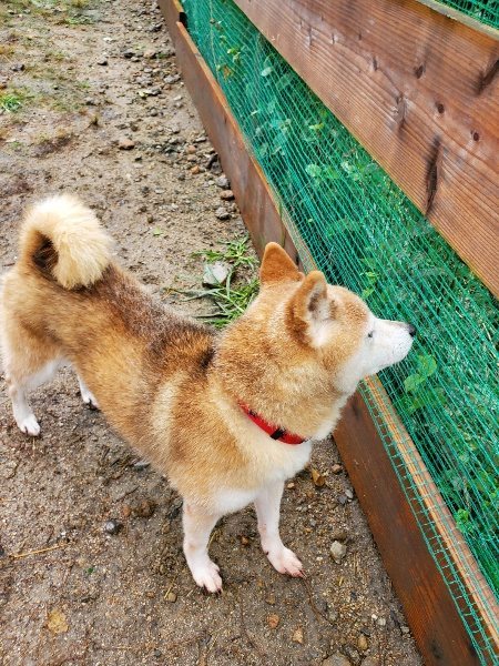 f:id:roukenhome-ann:20191013172849j:plain