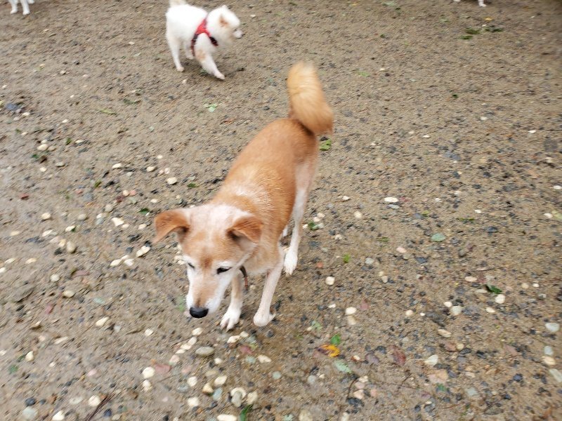f:id:roukenhome-ann:20191013172926j:plain
