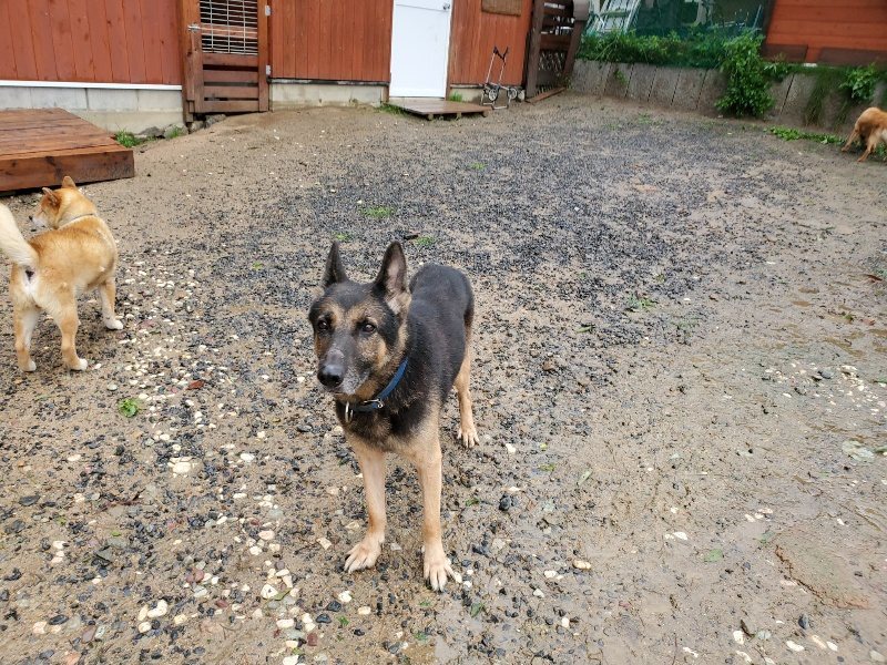 f:id:roukenhome-ann:20191013173004j:plain