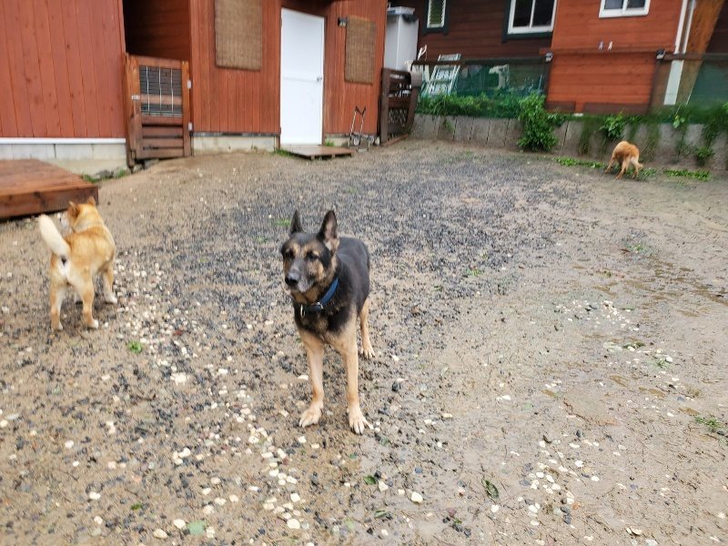 f:id:roukenhome-ann:20191013173014j:plain