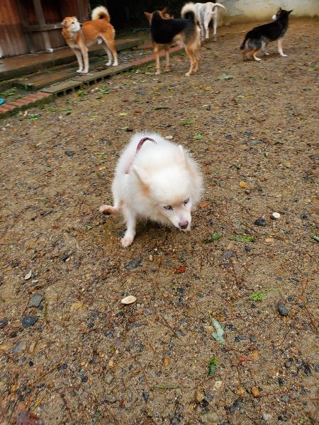 f:id:roukenhome-ann:20191013173031j:plain