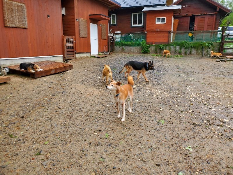 f:id:roukenhome-ann:20191013173046j:plain