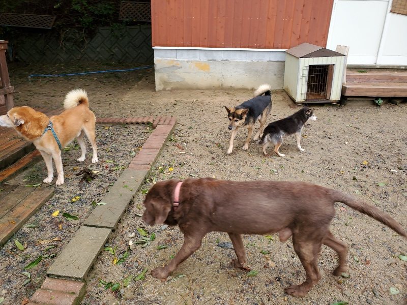 f:id:roukenhome-ann:20191013173123j:plain