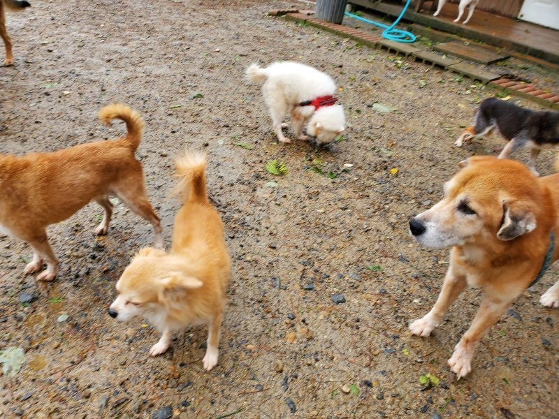 f:id:roukenhome-ann:20191013173648j:plain