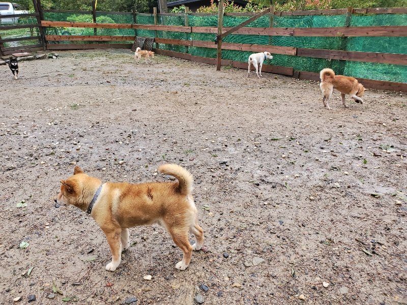 f:id:roukenhome-ann:20191013173813j:plain
