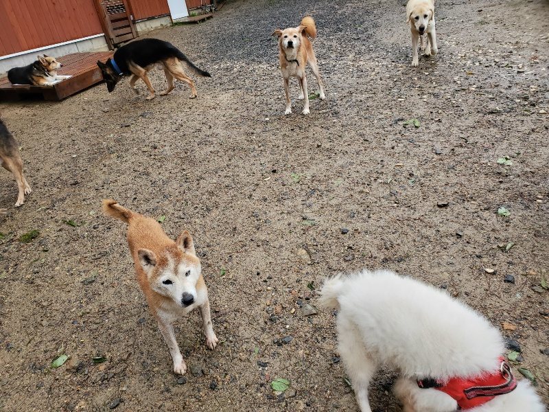 f:id:roukenhome-ann:20191013173820j:plain