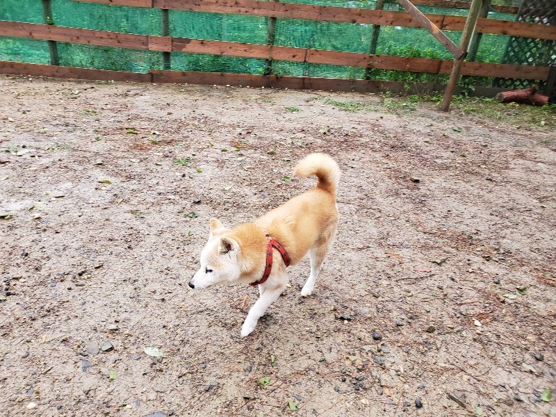 f:id:roukenhome-ann:20191013173835j:plain