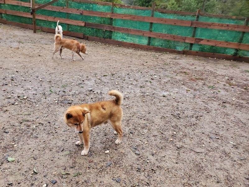 f:id:roukenhome-ann:20191013173904j:plain