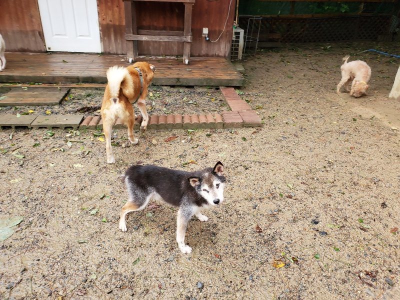 f:id:roukenhome-ann:20191013173916j:plain