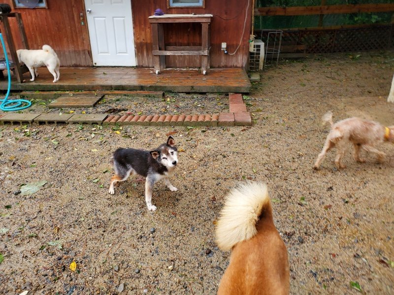 f:id:roukenhome-ann:20191013174036j:plain