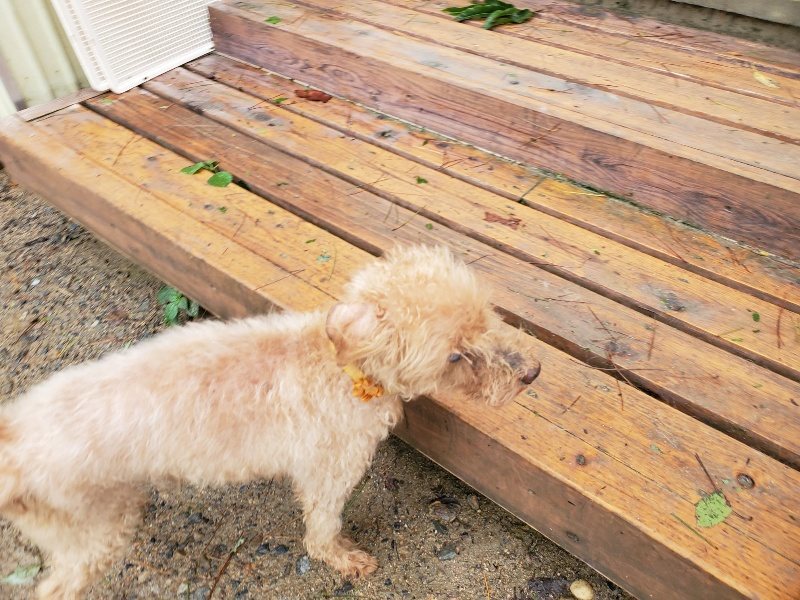 f:id:roukenhome-ann:20191013174100j:plain