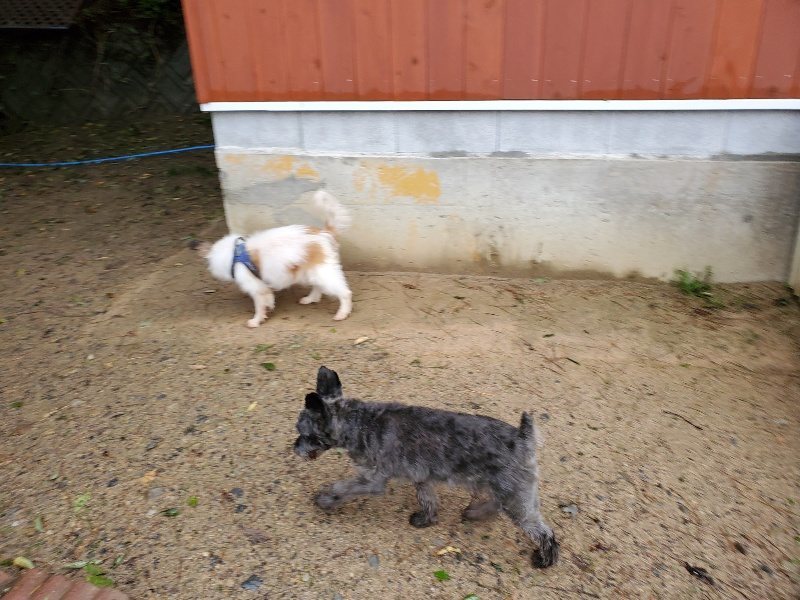 f:id:roukenhome-ann:20191013180227j:plain