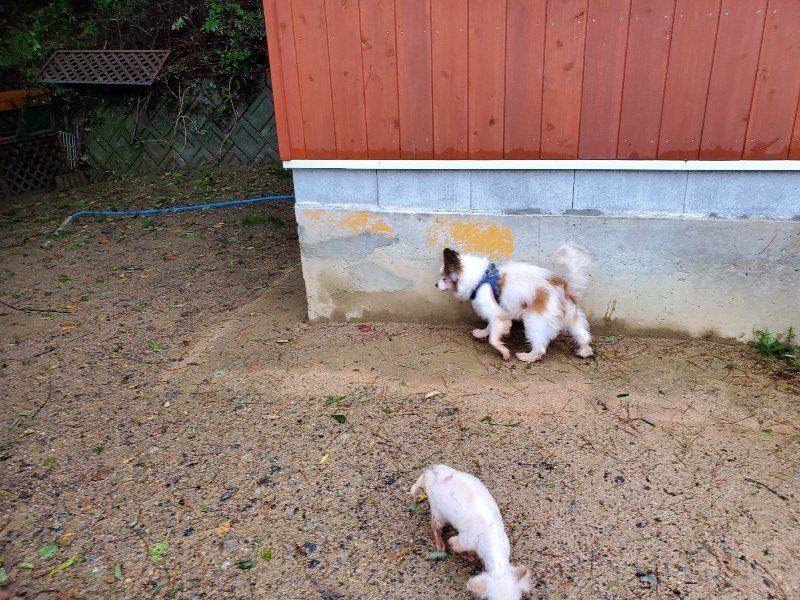 f:id:roukenhome-ann:20191013180251j:plain