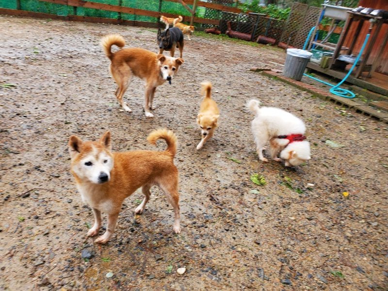 f:id:roukenhome-ann:20191013180302j:plain