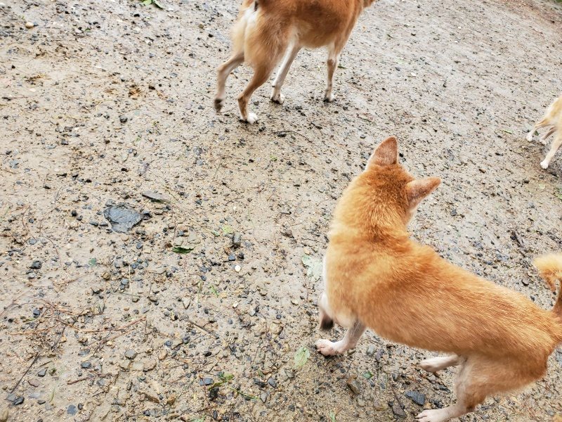 f:id:roukenhome-ann:20191013180321j:plain