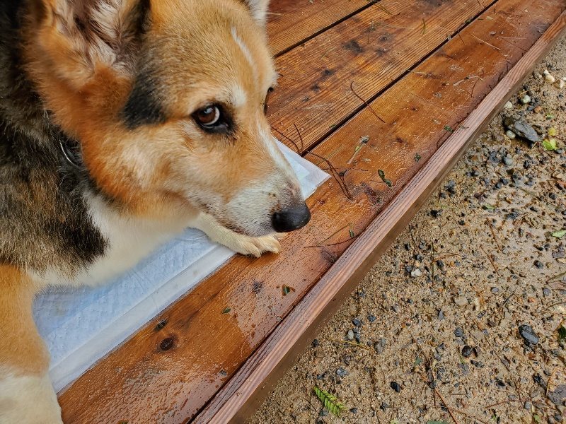 f:id:roukenhome-ann:20191013180344j:plain