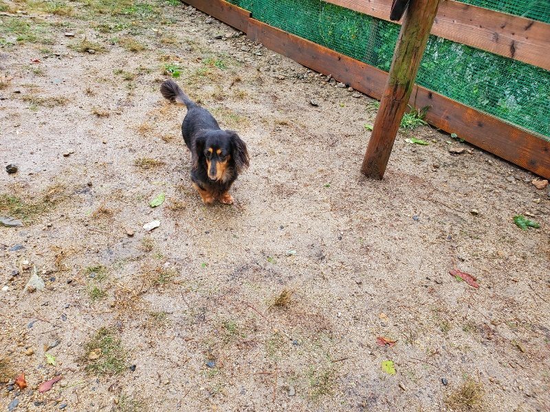 f:id:roukenhome-ann:20191013180439j:plain