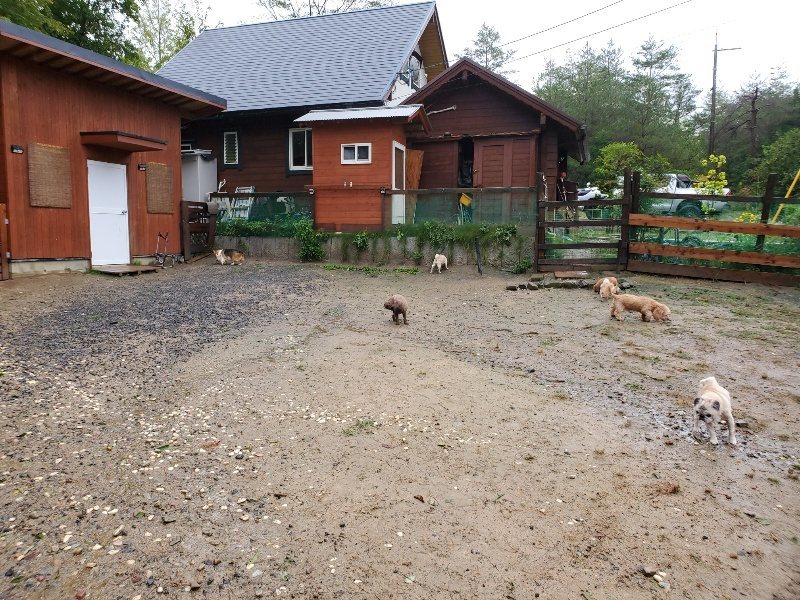 f:id:roukenhome-ann:20191013180502j:plain